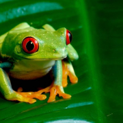 Biologie médicale et transition écologique : Vers des laboratoires plus responsables en PACA