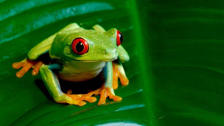 Biologie médicale et transition écologique : Vers des laboratoires plus responsables en PACA