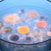 Qu’est-ce qu’une URPS et quel est son rôle dans le système de santé ? Focus sur l’URPS Biologistes PACA