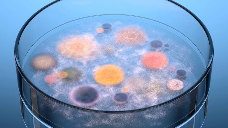 Qu’est-ce qu’une URPS et quel est son rôle dans le système de santé ? Focus sur l’URPS Biologistes PACA