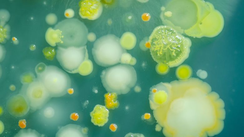 L’URPS Biologistes PACA face aux défis de la santé publique